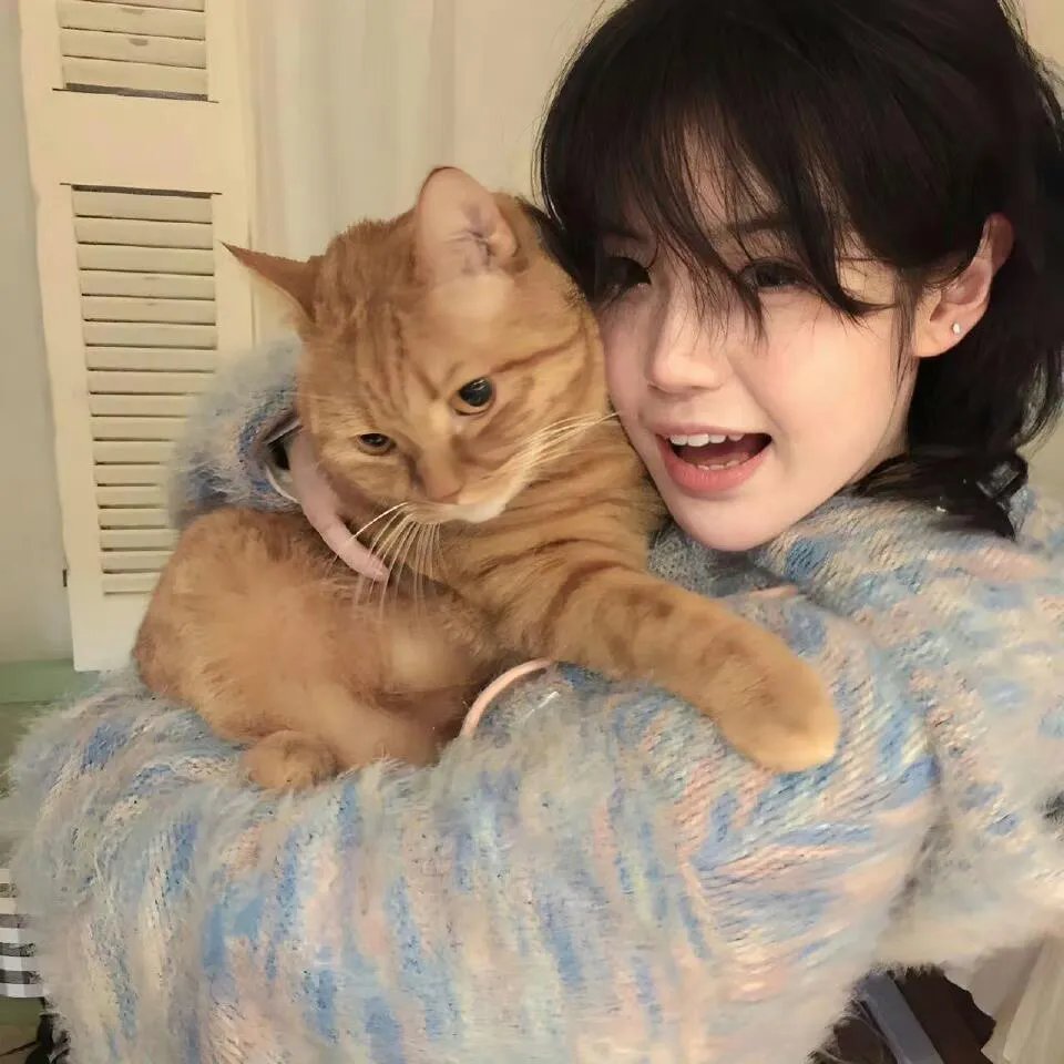 猎狐娇娃